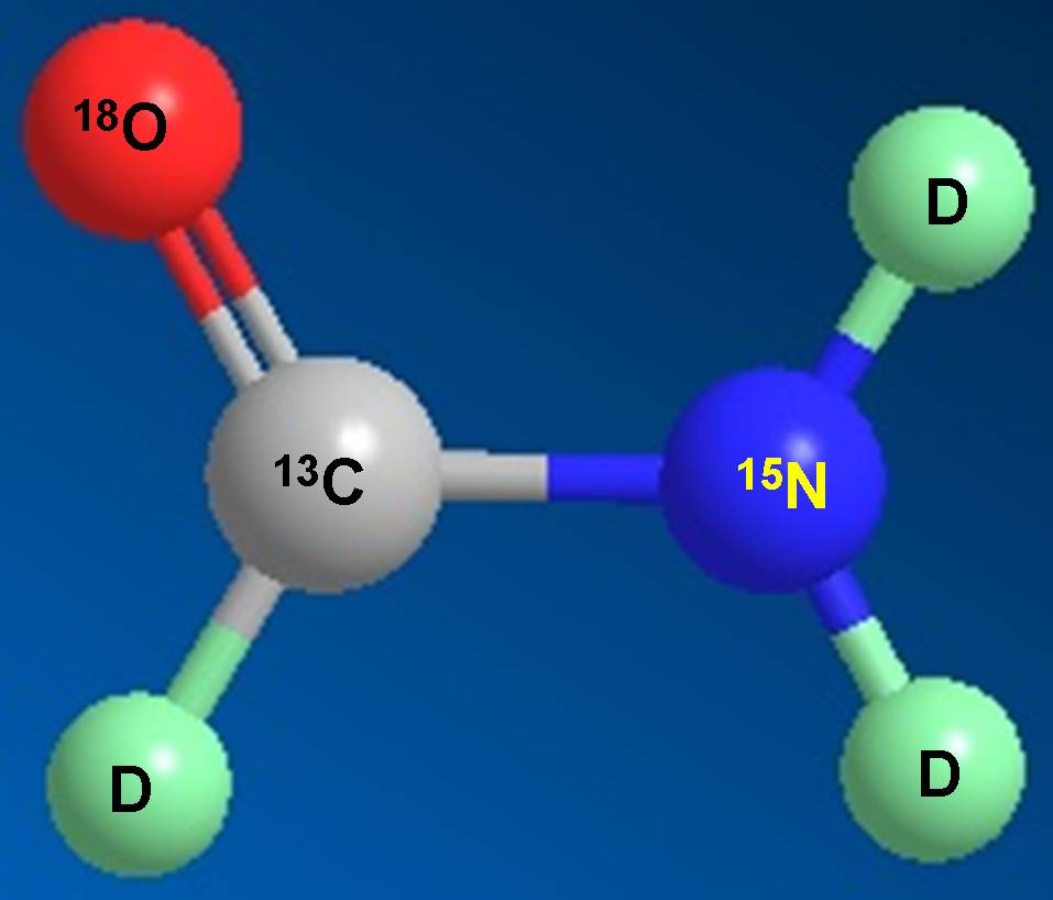 玩彩网科研职员受邀担当同位素手艺交流培训会讲师