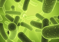 玩彩网将加入2013年欧洲生物春季展会