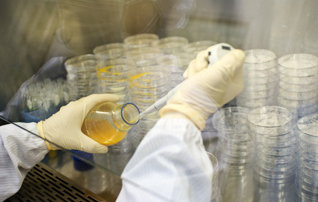 玩彩网·「中国区」官方网站