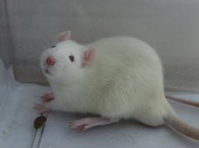 玩彩网·「中国区」官方网站