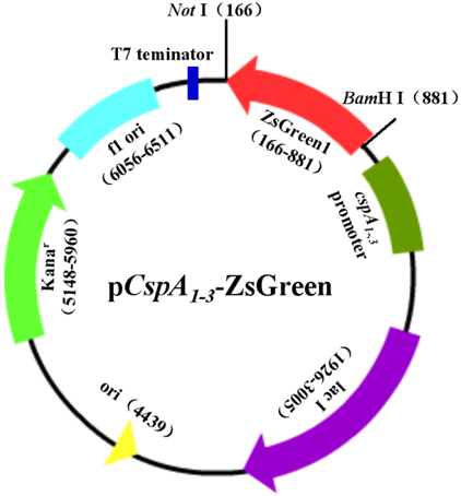 玩彩网·「中国区」官方网站