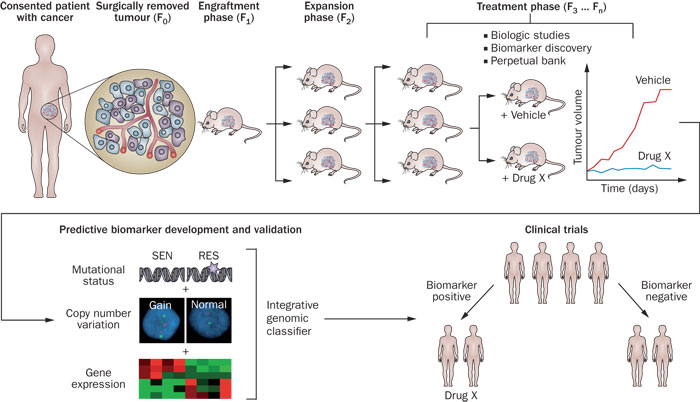 玩彩网·「中国区」官方网站