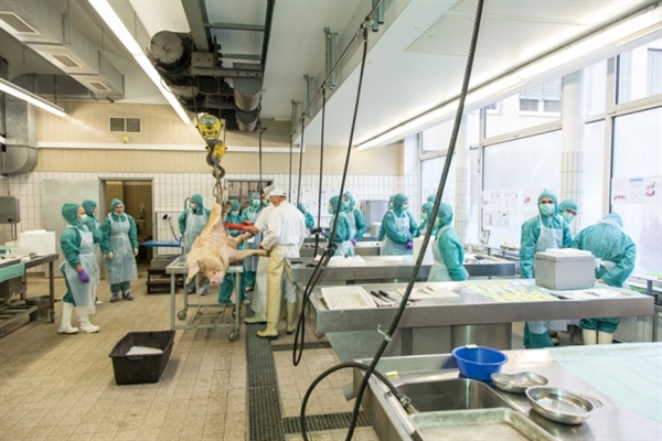 4月21号，，，，，玩彩网加入了第四届国际生物医药工业生长立异论坛暨亚洲新药研发与CRO相助国际聚会