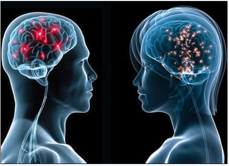 5月2号，，，，，医药经济报上揭晓了关于陈春麟博士的报道——CRO的中国式崛起路径