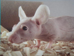 玩彩网·「中国区」官方网站