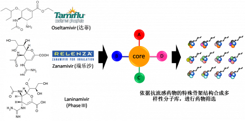图2：以现有抗流感药物的结构为基础，，，，举行多样性药物分子库的合成。。。。。。