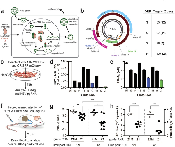 玩彩网·「中国区」官方网站