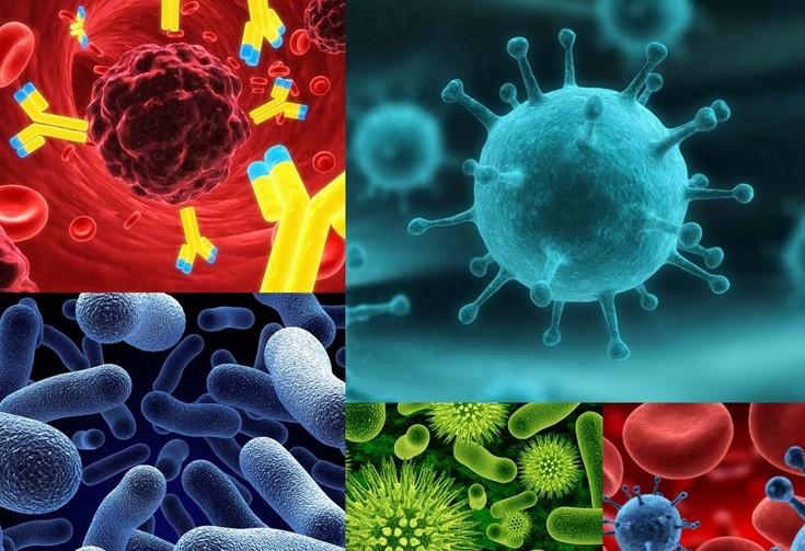 玩彩网·「中国区」官方网站