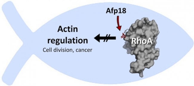 玩彩网·「中国区」官方网站
