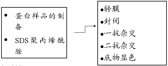 玩彩网·「中国区」官方网站