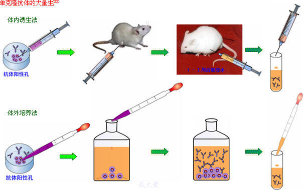 玩彩网·「中国区」官方网站