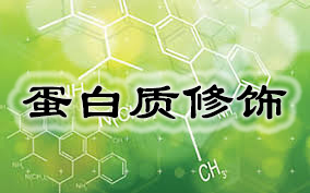 玩彩网·「中国区」官方网站