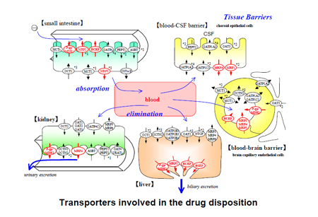 玩彩网·「中国区」官方网站