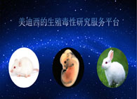 玩彩网的生殖毒性研究服务平台