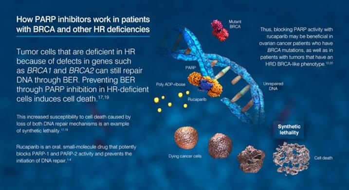 玩彩网·「中国区」官方网站