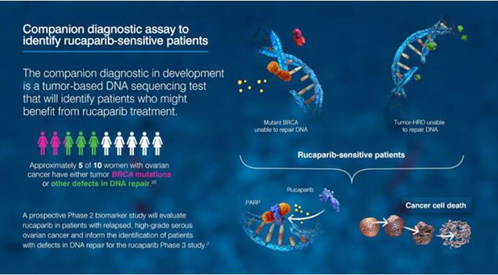 玩彩网·「中国区」官方网站