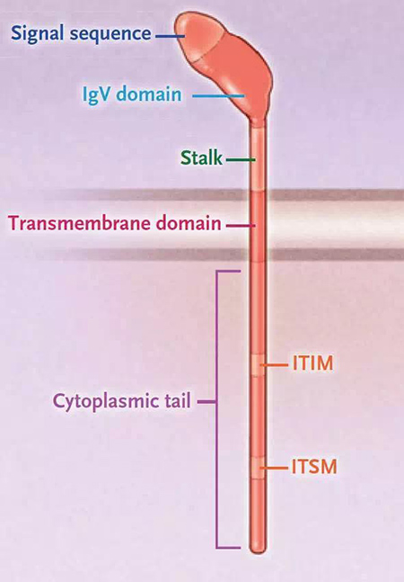 玩彩网·「中国区」官方网站