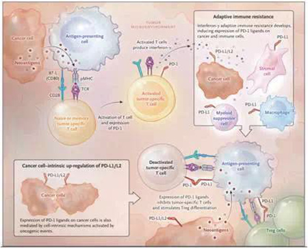玩彩网·「中国区」官方网站