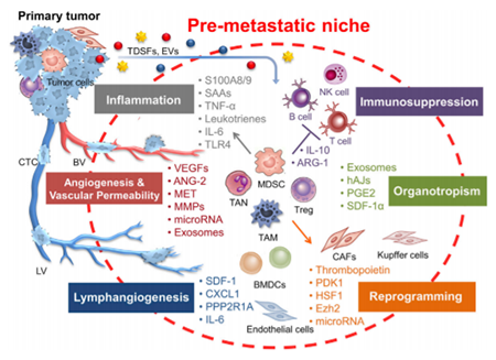 玩彩网·「中国区」官方网站