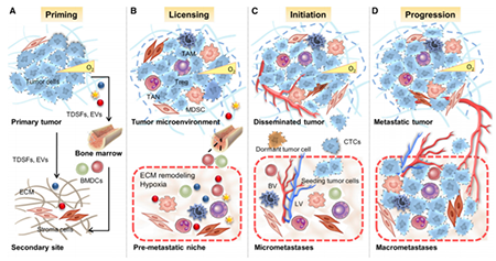 玩彩网·「中国区」官方网站