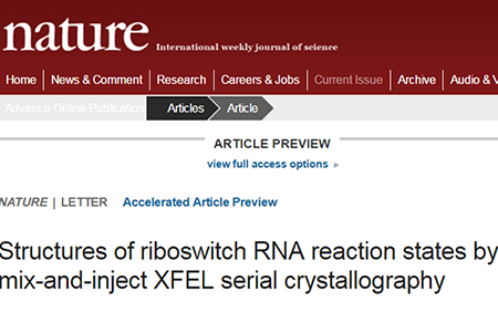 玩彩网·「中国区」官方网站
