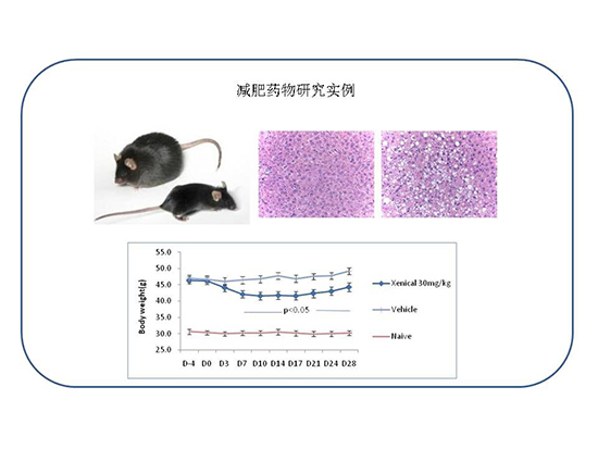 玩彩网·「中国区」官方网站
