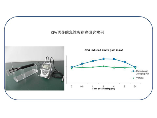 玩彩网·「中国区」官方网站