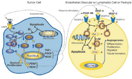 玩彩网·「中国区」官方网站