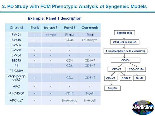 玩彩网副总裁汪俊博士SAPA-DC聚会演讲PPT