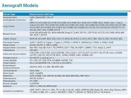 玩彩网副总裁汪俊博士SAPA-DC聚会演讲PPT