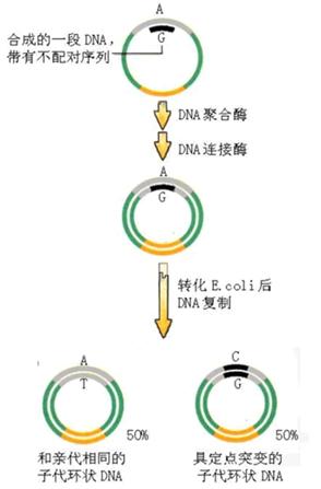 玩彩网·「中国区」官方网站