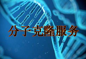 分子克隆手艺服务
