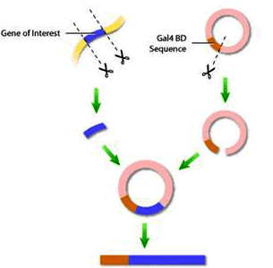 玩彩网·「中国区」官方网站