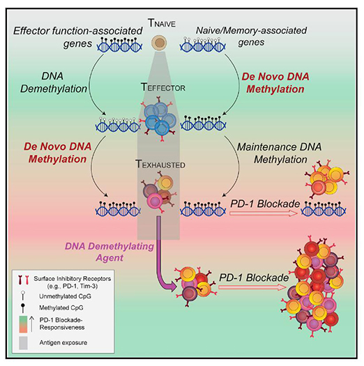 玩彩网·「中国区」官方网站
