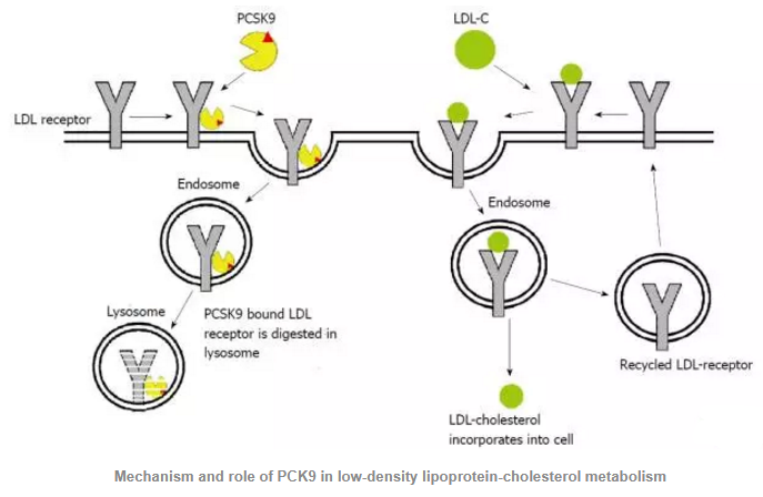玩彩网·「中国区」官方网站