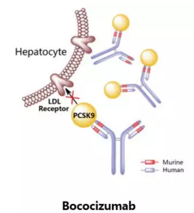 玩彩网·「中国区」官方网站