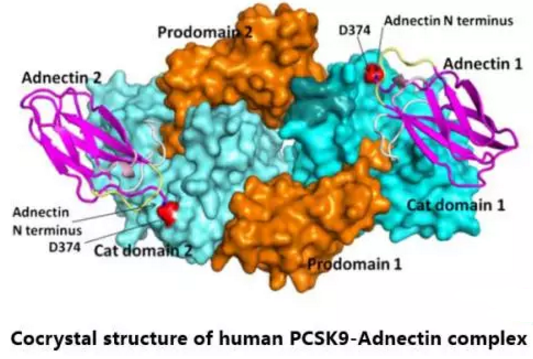 玩彩网·「中国区」官方网站