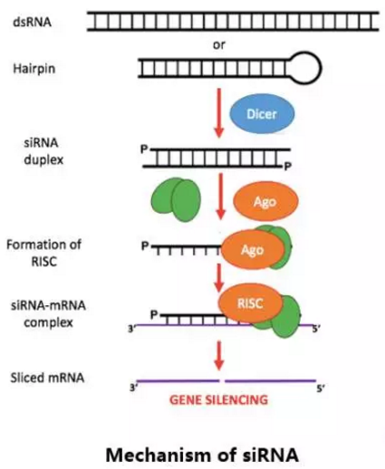 玩彩网·「中国区」官方网站