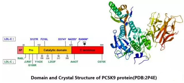 玩彩网·「中国区」官方网站