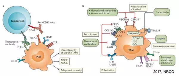 玩彩网·「中国区」官方网站