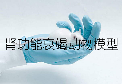 肾功效衰竭动物模子