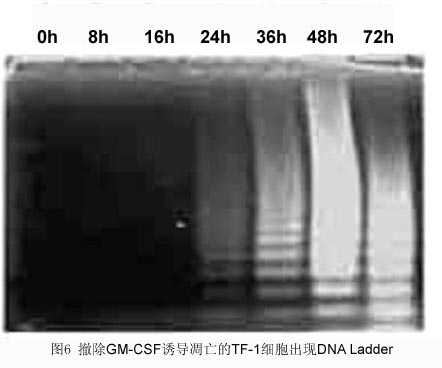 玩彩网·「中国区」官方网站