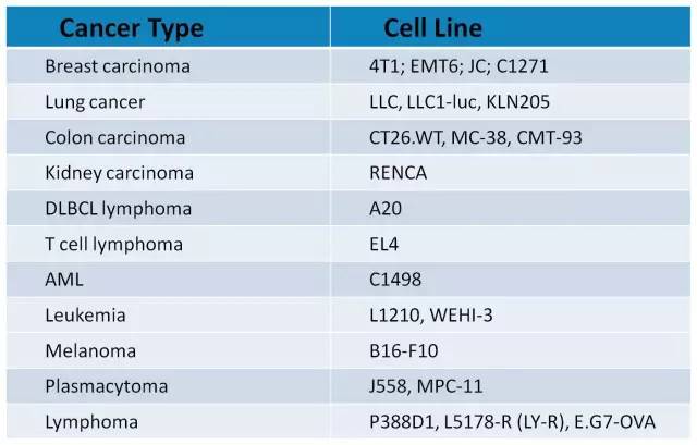 玩彩网·「中国区」官方网站