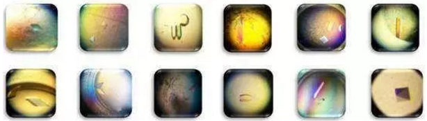 玩彩网·「中国区」官方网站