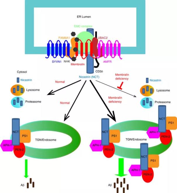 玩彩网·「中国区」官方网站