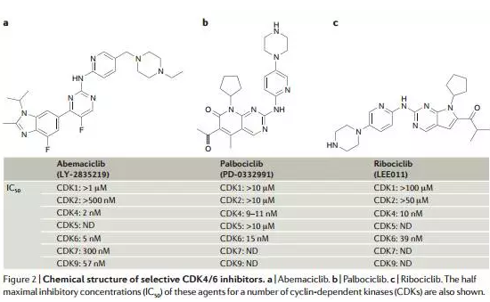 玩彩网·「中国区」官方网站