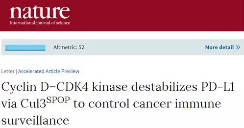 玩彩网·「中国区」官方网站