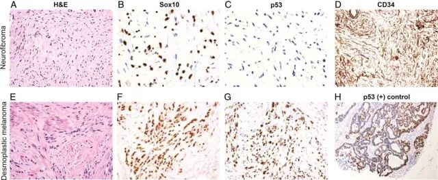 玩彩网·「中国区」官方网站