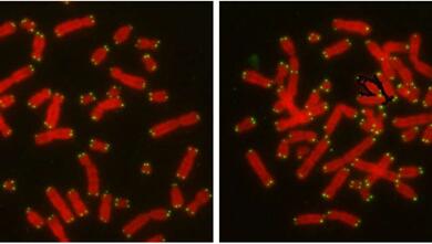 玩彩网·「中国区」官方网站