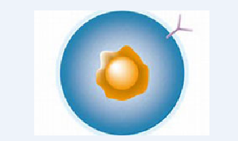 玩彩网·「中国区」官方网站